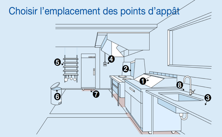 schéma d'emplacement des points d'appât pour blatte